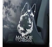 LMMIXEE Autocollant pour fenêtre de voiture Malinois on Board - Mechelse belge Herder Security K9 - Autocollant en vinyle découpé - Cadeau pour propriétaire de chien malinois