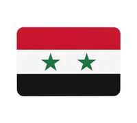 LMNUDS Tapis de bain imprimé drapeau de la République arabe syrienne, tapis de douche en terre de diatomée, antidérapant pour sol de salle de bain, design compact, 60 x 40 cm