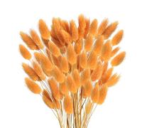 Lmohuytf 60Pcs Fleurs SéChéEs d'automne Queues de Lapin Fleurs SéChéEs Lagurus Ovatus Herbe de Queue de Lapin pour Fleurs SéChéEs (Orange)