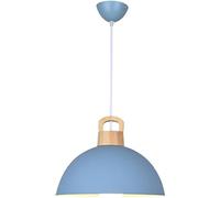 LMRJHAZ Chaner de Salle à Manger - luminaires de Pendentif LED Style Industriel - Chaners à tête Lampe à tête Simple Chaner (11,8 Pouces)