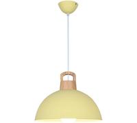 LMRJHAZ Chaner de Salle à Manger - luminaires de Pendentif LED Style Industriel - Chaners à tête Lampe à tête Simple Chaner (11,8 Pouces)