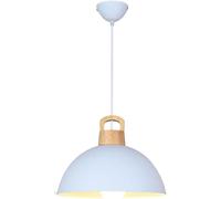 LMRJHAZ Chaner de Salle à Manger - luminaires de Pendentif LED Style Industriel - Chaners à tête Lampe à tête Simple Chaner (11,8 Pouces)