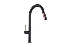 LMRJHAZ Robinet de cuisine blanc et noir Handle unique Tire Sort Mixer de cuisine et d'eau froide Taps montés (couleur: noir mat)
