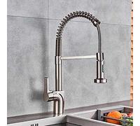 LMRJHAZ Robinet de Cuisine Tirez vers Le Bas de l'évier de Cuisine Robinet brossé Nickel à Manche Unique de Salle de Bain vanité de Cuisine