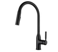 LMRJHAZ Tapis de mélangeur d'évier de Cuisine avec pulvérisateur Pull Down, Taps de Cuisine Taps Hot and Cold Brass Teles Mode Double 360 degrés Rotation à Trou de Cuisine Single Hole Robinet