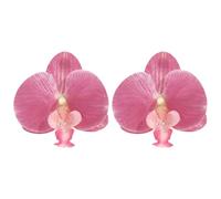 LMRJHAZM Boho 3d Fleur Boucles d'oreilles pour femmes exagérées GRANDE BATTERFLY ORCHID FLORA COMMENT