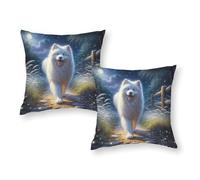 LMYmoney Taie d'oreiller « Promenade Nocturne Magique avec Un Chien », Infroissable et Respirante, pour canapé, Cadeau pour Enfants et Voyages, 40 x 40 cm