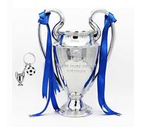LNGODEHO Trophée champion d’Europe de football, résine St. Bernard League Réplique de coupe de récompense, argent avec rubans bleus pour fan de sport équipe de ligue (44 cm)
