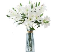 LNHOMY Lot de 6 Fleurs de lys artificielles en Latex au Toucher réaliste avec 3 têtes de Fleurs de lys artificielles pour décoration de fête de Mariage, décoration d'intérieur (Blanc)