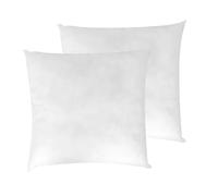 LNT France - Coussins de Garnissage, Ultra Gonflant, Coussin Canapé, Coussin à Recouvrir, Rembourrage Coussins Blanc. (45x45 cm (Lot de 2))