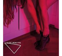 Lo Fat Orchestra - Neon Lights [Import]