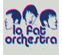 Lo Fat Orchestra - Questions for Honey