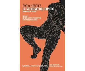 Lo schermo del diritto. Visioni dalla caverna. Lettera/spirito, prospettiva, occhio della macchina (Vol. 1)
