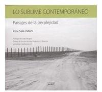 Lo Sublime Contemporáneo Sala I Martí, Pere (Auteur)