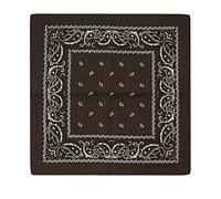 Loalirando Bandana Pure Coton Foulard Multi-Usages Bandeau de Cheveux Echarpe de Cou Décoration Sac (Café, OneSize)