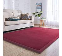 Loartee Tapis de Jeu en Velours Corail Chambre Enfant 3cm d'épaisseur