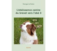 L'obéissance canine du brevet vers l'obé 3