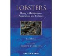 Lobsters by Phillips Bruce Curtin University of Technology Australia Hardcover Book Phillips Bruce Curtin University of Technology Australia (Auteur)