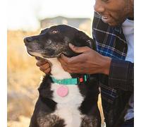Localisateur pour Chien,Anti Perte Smart Localisateur GPS,Electronique pour Animaux De Compagnie Personnes Agées - Portefeuille Personnes Agées