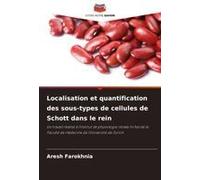 Localisation Et Quantification Des Sous-Types De Cellules De Schott Dans Le Rein