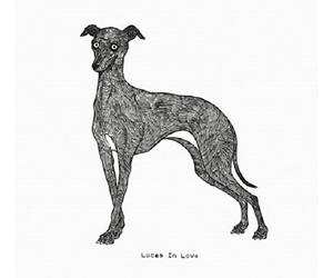 LOCAS IN LOVE - USE YOUR ILLUSION 3 & 4 2 CD NEUF