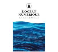 L'océan Numérique