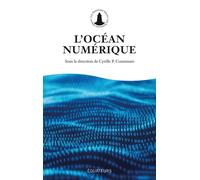 L'Océan numérique - Cyrille P. Coutansais - Des Equateurs Eds - broché - Essai