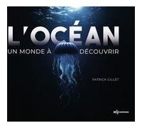 L'océan Patrick Gillet (Auteur)