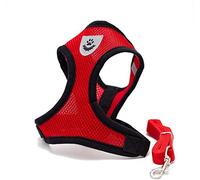 Locisne Mesh Tissu Dog Vest Harnais souple réglable confortable | Pet Chest Lead Walking Leash avec clip (Rouge, Petit)
