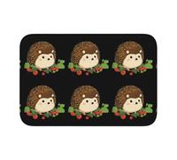 Lock Edge Tapis de sol ourlet 101,6 x 152,4 cm MJHKXLJ Petit hérisson verger imprimé pour toilettes, coiffeuse, maison de vacances, salle de bain principale, salle de bain pour enfants et suite