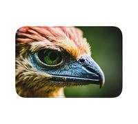 Lock Edge Tapis de sol ourlet 40 x 60 JKIEGOQ belle image d'oiseau ancêtre antidérapant fond moulé goutte à goutte, idéal facile à nettoyer et résistant à la décoloration