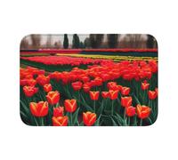 Lock Edge Tapis de sol ourlet 40 x 60 MJHKXLJ Tulipe Jardin imprimé pour toilettes, coiffeuse, maison de vacances, salle de bain principale, salle de bain pour enfants et suite d'invités