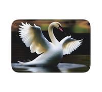 Lock Edge Tapis de sol ourlet 40 x 60 WHJSHOP Swan Dancing Impression Antidérapant Fond moulé goutte à goutte, idéal facile à nettoyer et résistant à la décoloration