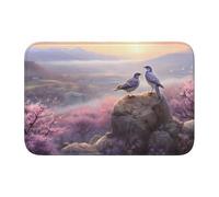 Lock Edge Tapis de sol ourlet 40 x 60 YYHWHJDE deux oiseaux sur un rocher imprimés pour toilettes, coiffeuse, maison de vacances, salle de bain principale, salle de bain pour enfants et suite