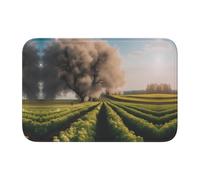 Lock Edge Tapis de sol ourlet 40 x 60 YYHWHJDE Joli motif ferme d'été antidérapant Fond moulé goutte à goutte, idéal facile à nettoyer et résistant à la décoloration