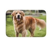 Lock Edge Tapis de sol ourlet 40 x 60 YYHWHJDE mignon Golden Retriever Motif antidérapant Fond moulé goutte à goutte, idéal facile à nettoyer et résistant à la décoloration