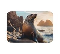 Lock Edge Tapis de sol ourlet 40 x 60 YYHWHJDE Sea Lion on The Rocks Imprimé Antidérapant Fond moulé goutte à goutte, idéal facile à nettoyer et résistant à la décoloration