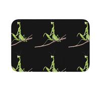 Lock Edge Tapis de sol ourlet 40x60 YYHWHJDE Mante priante sur une branche Motif antidérapant Fond moulé goutte à goutte, idéal facile à nettoyer et résistant à la décoloration