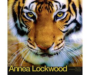 Lockwood Annea - Tiger Balm Amazonia Dreaming Immersion [Import]