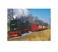 Locomotive à Vapeur des chemins de Fer à Voie étroite du Harz，Jigsaw Puzzle 1000 Pièces pour Adultes Enfants Puzzle en Papier ， Divertissement Bricolage Jouets Jeux De Famille Créatif（38x26cm）-AB86