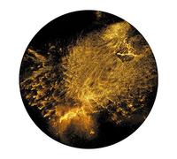 Loderbauer, Max - End