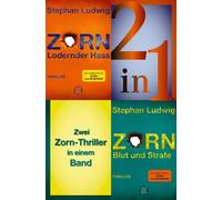 Lodernder Hass / Blut und Strafe - Zwei Zorn-Thriller in einem Band - Stephan Ludwig - FISCHER digiBook - ebook (ePub) - Livre