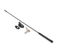 Lodokdre Mât D'Antennes de Toit D'Autoradio AM/FM + Kit de Base pour ModèLes Focus 2000-2007 XS8Z-18919-AA