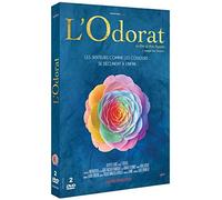 L'Odorat / The Nose ( Le nez )