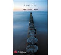 L'odyssée D'erwan