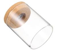 LOEFLIFA Bouteille Cylindrique en Verre Borosilicate Transparent Éclairage LED, Terrarium Végétal DIY pour Micropaysage, Décoration Écologique Maison, Présent Original, 1 Pièce