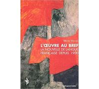 L'oeuvre au bref: La nouvelle de langue française depuis 1900