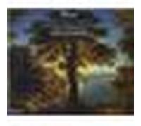 L'Oeuvre pour piano, Volume 20 CD