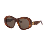 Loewe Femme Sunglass Anagram Lw40181I - Couleur du Monture: Écaille, Couleur de Lentille: Brun