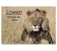 Löwen - Könige der Tiere (Tischkalender 2026 DIN A5 quer), CALVENDO Monatskalender: Erleben Sie die grossen Katzen Afrikas in ihrem natürlichen Lebensraum.
